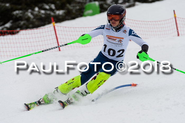 DSV Dt. Schülercup U14 SL 20.01.2018