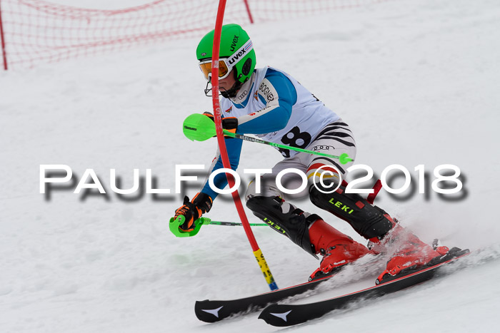 DSV Dt. Schülercup U14 SL 20.01.2018