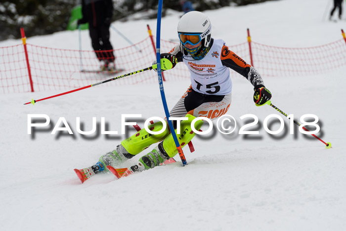 DSV Dt. Schülercup U14 SL 20.01.2018
