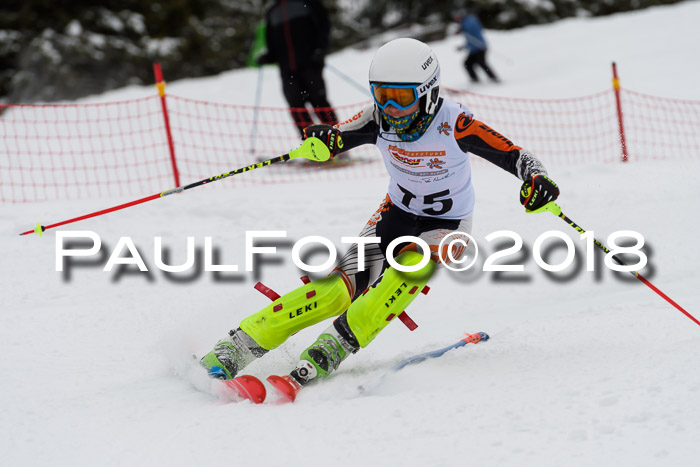 DSV Dt. Schülercup U14 SL 20.01.2018