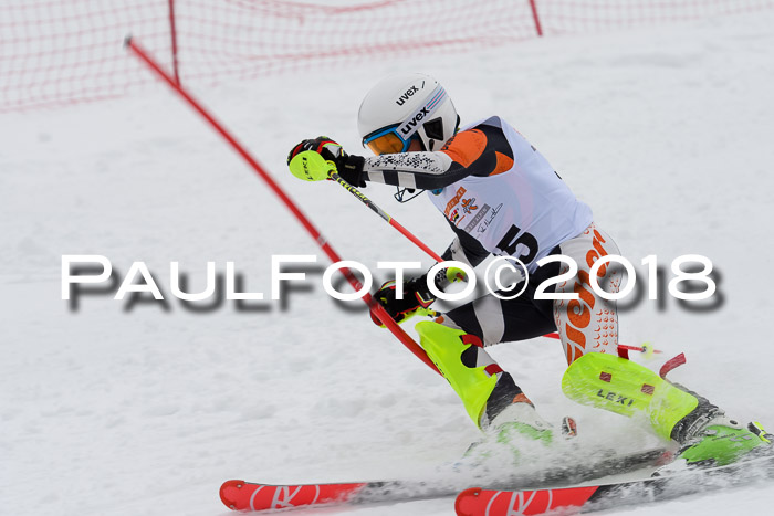 DSV Dt. Schülercup U14 SL 20.01.2018