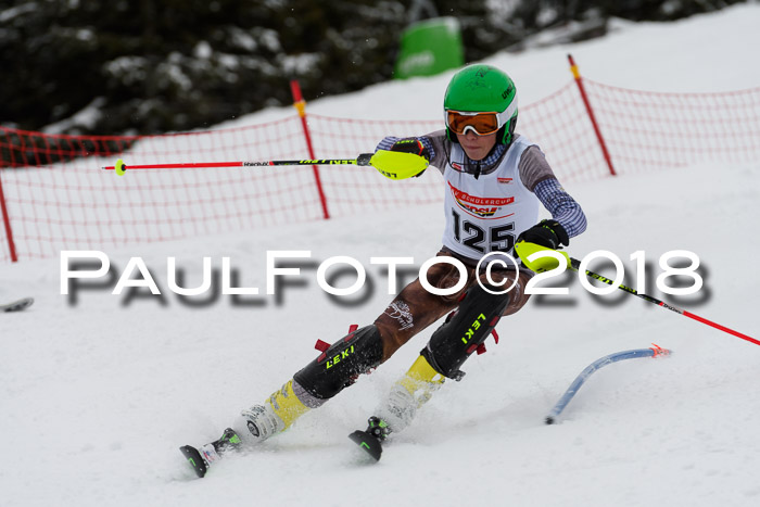 DSV Dt. Schülercup U14 SL 20.01.2018