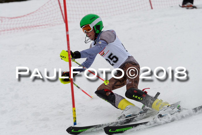 DSV Dt. Schülercup U14 SL 20.01.2018