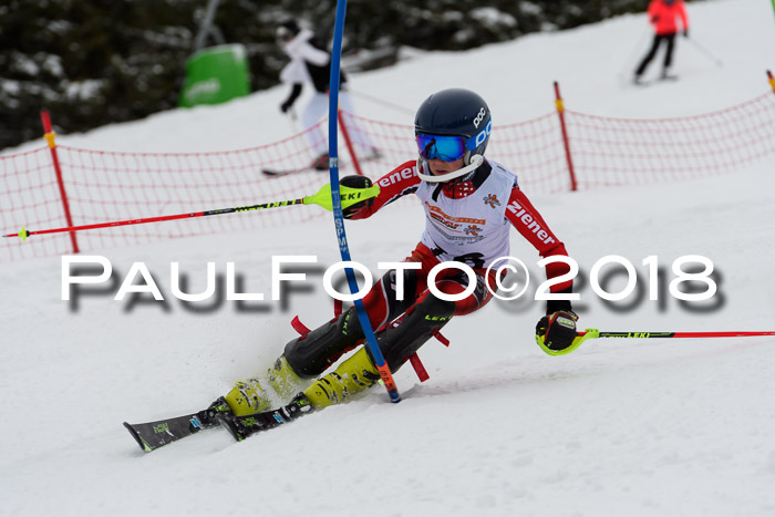 DSV Dt. Schülercup U14 SL 20.01.2018