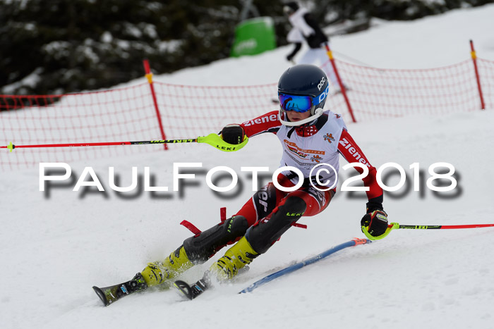 DSV Dt. Schülercup U14 SL 20.01.2018