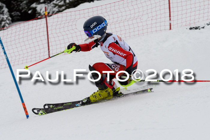DSV Dt. Schülercup U14 SL 20.01.2018