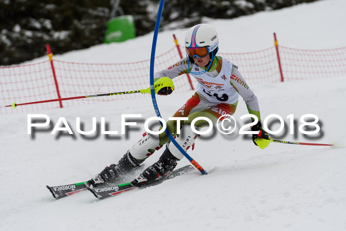 DSV Dt. Schülercup U14 SL 20.01.2018