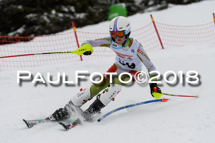 DSV Dt. Schülercup U14 SL 20.01.2018