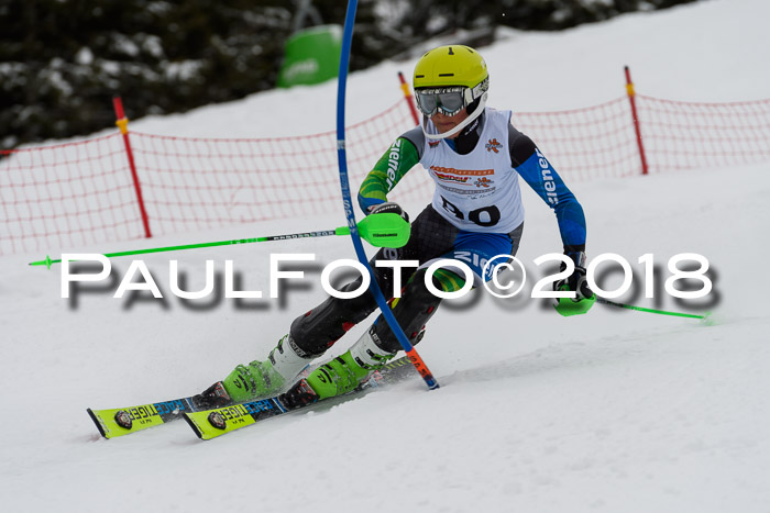 DSV Dt. Schülercup U14 SL 20.01.2018