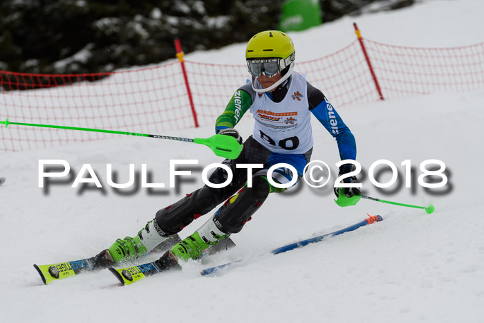 DSV Dt. Schülercup U14 SL 20.01.2018