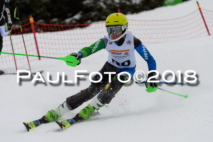 DSV Dt. Schülercup U14 SL 20.01.2018