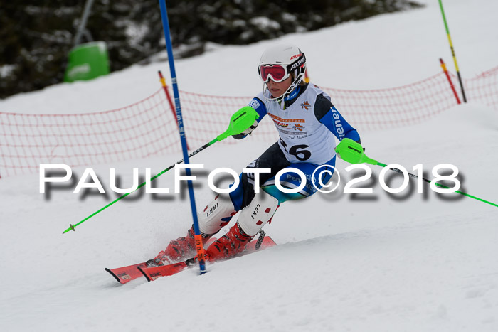 DSV Dt. Schülercup U14 SL 20.01.2018