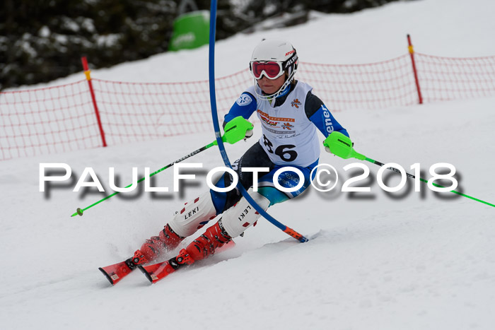 DSV Dt. Schülercup U14 SL 20.01.2018