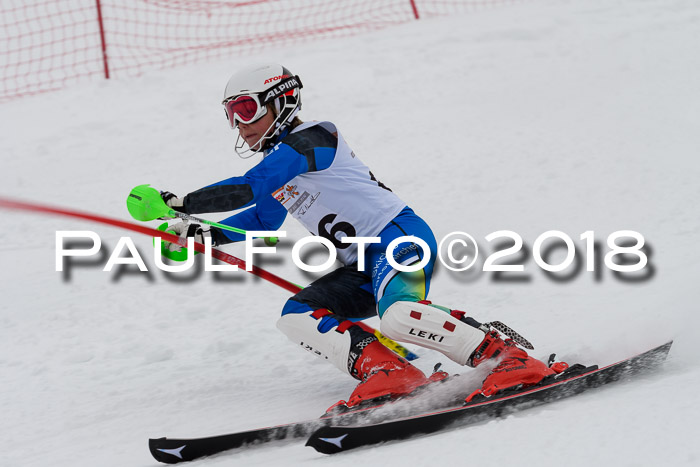 DSV Dt. Schülercup U14 SL 20.01.2018