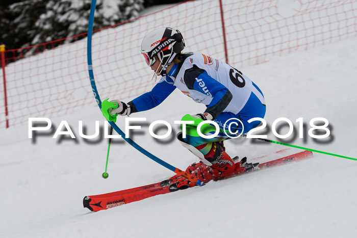 DSV Dt. Schülercup U14 SL 20.01.2018