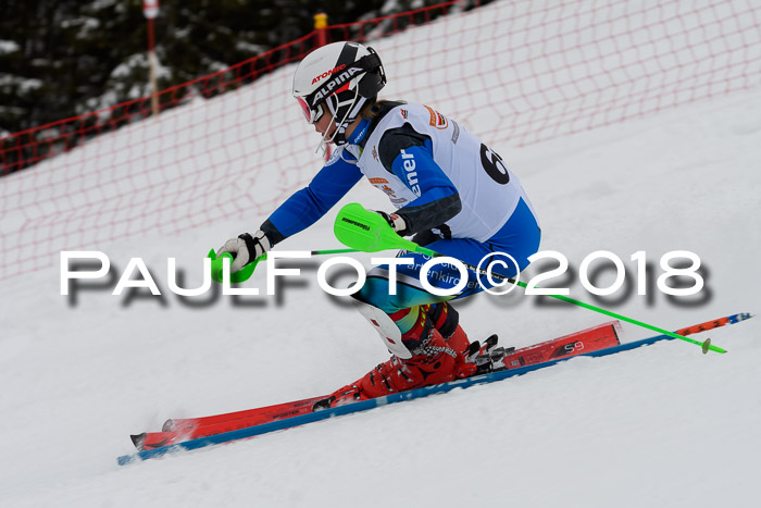 DSV Dt. Schülercup U14 SL 20.01.2018