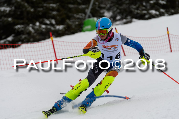 DSV Dt. Schülercup U14 SL 20.01.2018