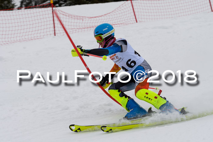 DSV Dt. Schülercup U14 SL 20.01.2018