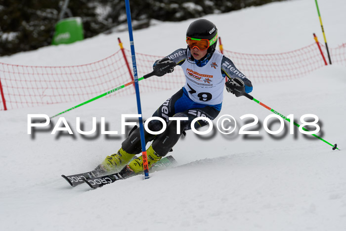 DSV Dt. Schülercup U14 SL 20.01.2018