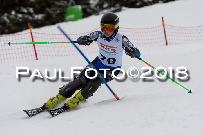 DSV Dt. Schülercup U14 SL 20.01.2018