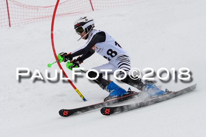DSV Dt. Schülercup U14 SL 20.01.2018