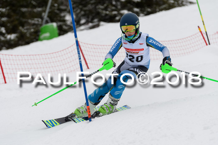 DSV Dt. Schülercup U14 SL 20.01.2018