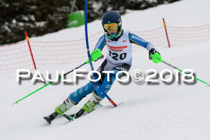 DSV Dt. Schülercup U14 SL 20.01.2018