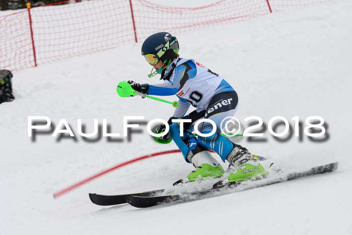 DSV Dt. Schülercup U14 SL 20.01.2018