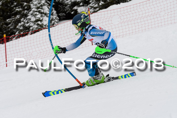 DSV Dt. Schülercup U14 SL 20.01.2018