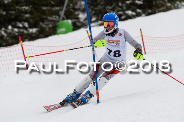 DSV Dt. Schülercup U14 SL 20.01.2018