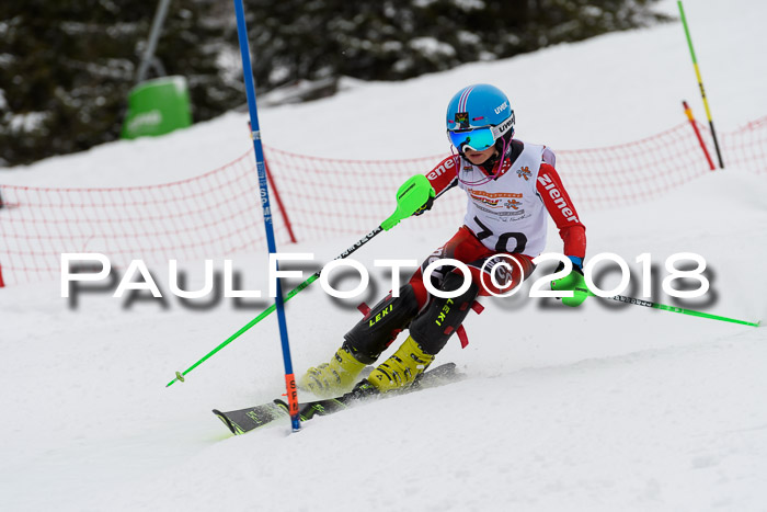 DSV Dt. Schülercup U14 SL 20.01.2018