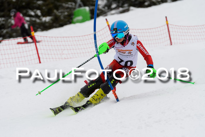 DSV Dt. Schülercup U14 SL 20.01.2018