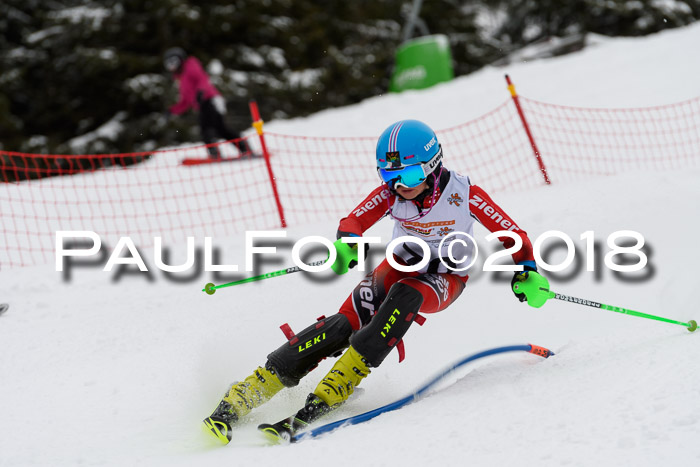 DSV Dt. Schülercup U14 SL 20.01.2018