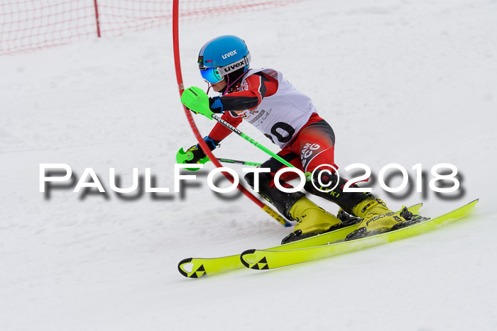 DSV Dt. Schülercup U14 SL 20.01.2018