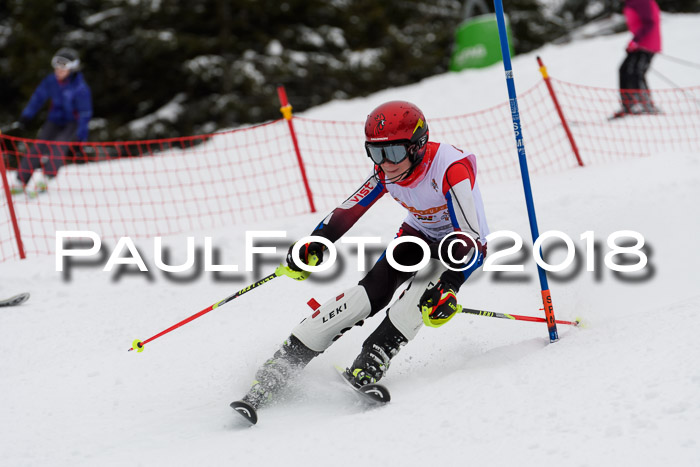 DSV Dt. Schülercup U14 SL 20.01.2018