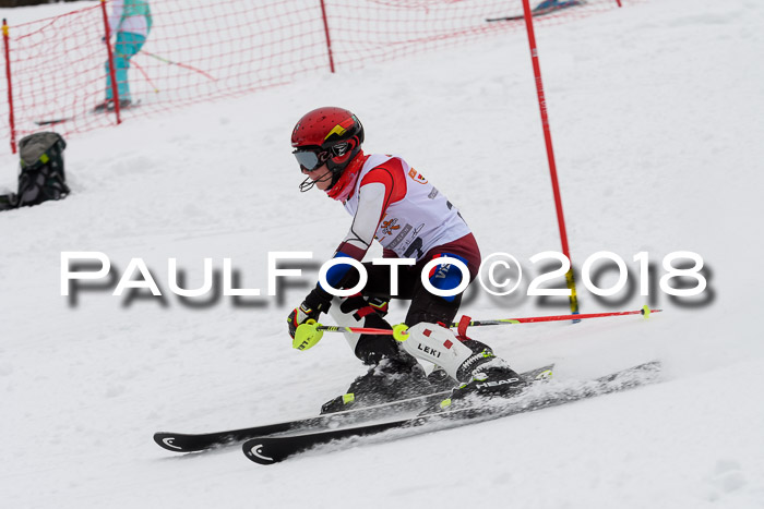 DSV Dt. Schülercup U14 SL 20.01.2018