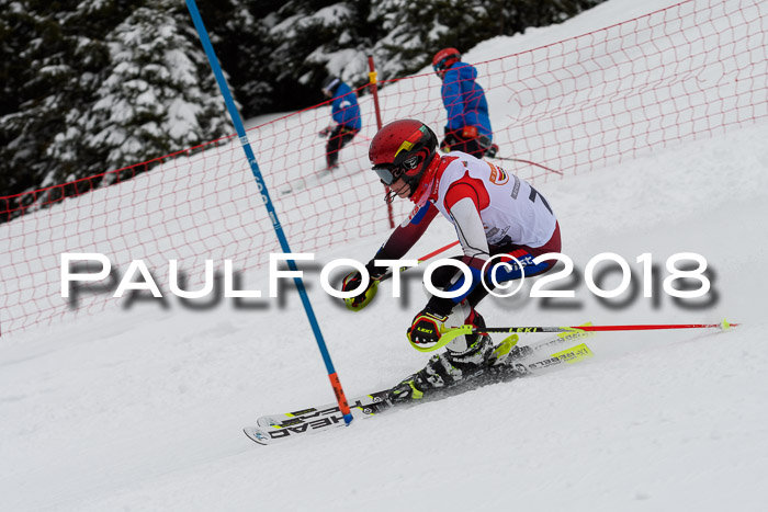 DSV Dt. Schülercup U14 SL 20.01.2018