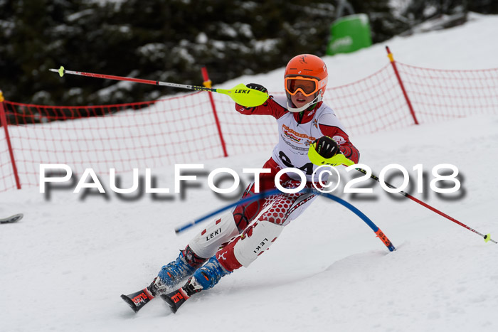 DSV Dt. Schülercup U14 SL 20.01.2018