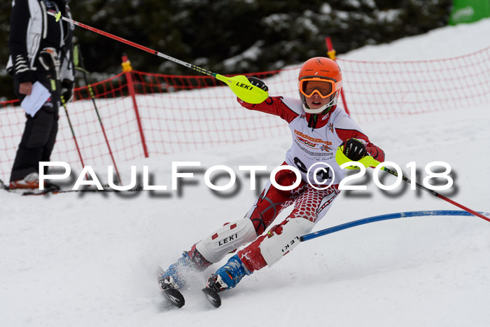 DSV Dt. Schülercup U14 SL 20.01.2018