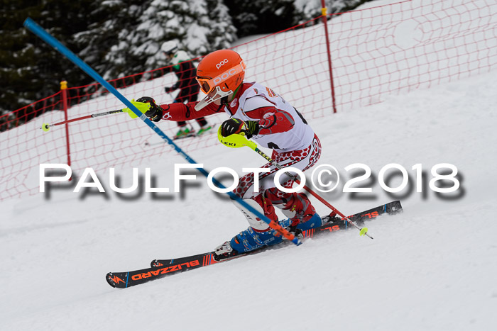 DSV Dt. Schülercup U14 SL 20.01.2018