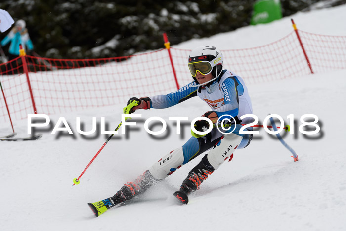 DSV Dt. Schülercup U14 SL 20.01.2018