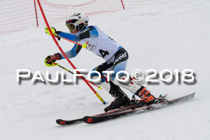 DSV Dt. Schülercup U14 SL 20.01.2018