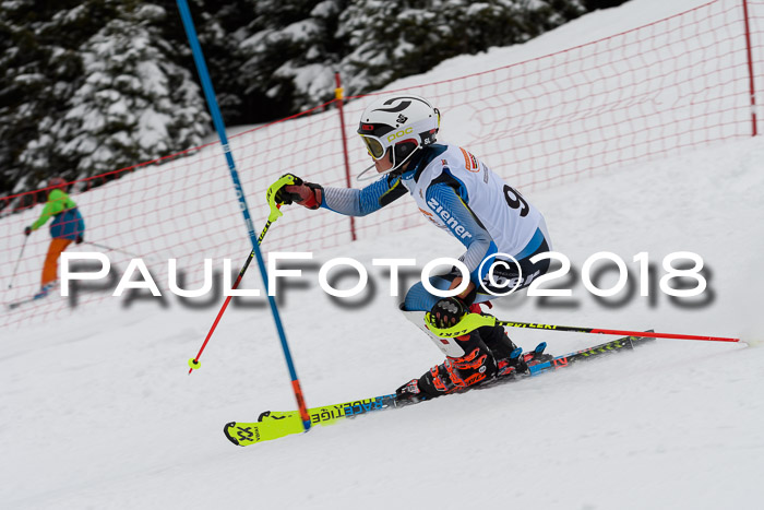 DSV Dt. Schülercup U14 SL 20.01.2018