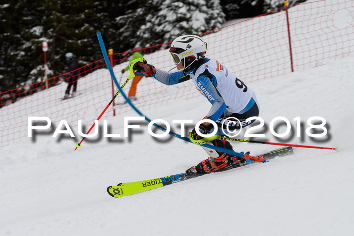 DSV Dt. Schülercup U14 SL 20.01.2018