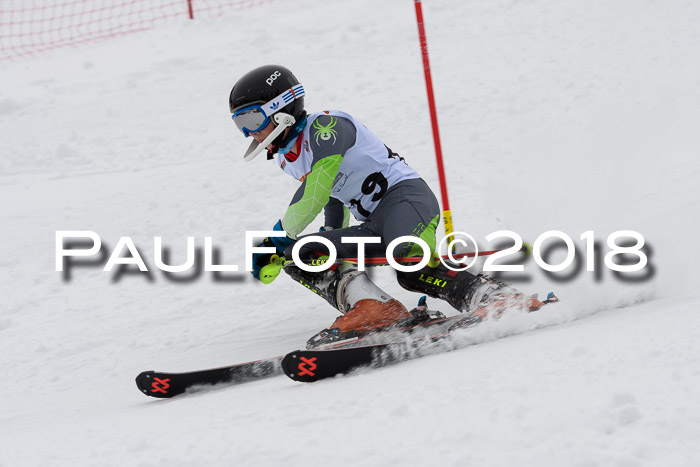 DSV Dt. Schülercup U14 SL 20.01.2018