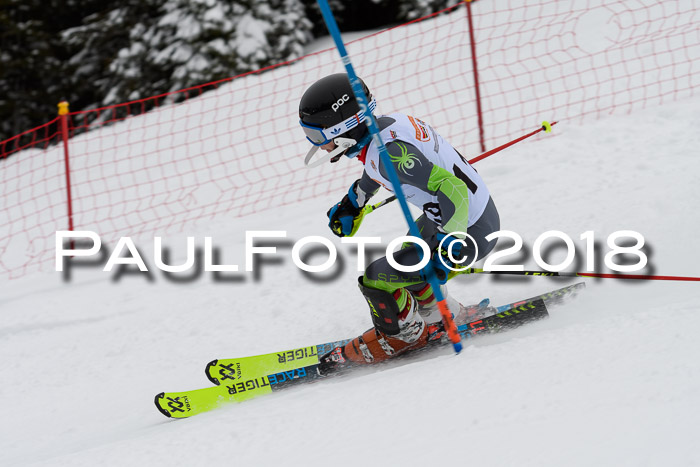 DSV Dt. Schülercup U14 SL 20.01.2018