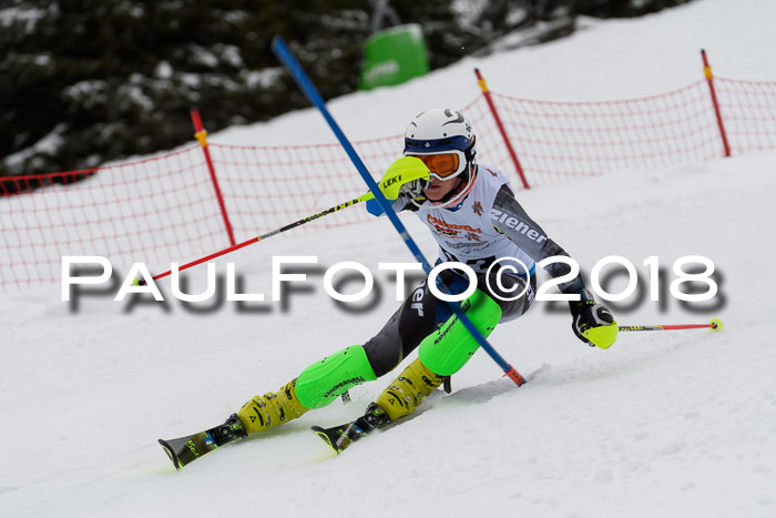 DSV Dt. Schülercup U14 SL 20.01.2018