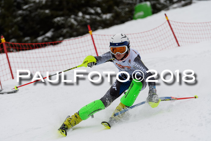 DSV Dt. Schülercup U14 SL 20.01.2018