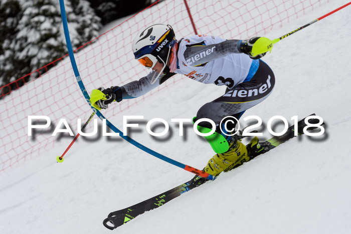 DSV Dt. Schülercup U14 SL 20.01.2018