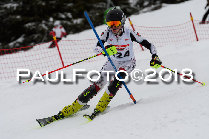DSV Dt. Schülercup U14 SL 20.01.2018